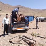 توقیف ماشین حمل چوب قاچاق در منطقه حفاظت شده عبدالرزاق سقز