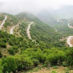 خسارت ۴۰ درصدی خشکسالی به طرح‌های احیا جنگل‌های کرمانشاه در سال۹۹