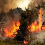 ساماندهی ۴۷ گروه برای مقابله با آتش سوزی در جنگل های آبدانان