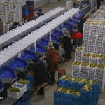 صادرات ۲۵۲ هزار تن کالا از مازندران به ۳۴ کشور جهان