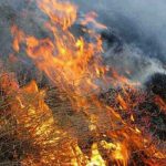 کاهش ۷۰ درصدی آتش سوزی در مزارع دهلران