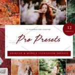 ۱۲ پریست لایت روم – CreativeMarke 12x Lightroom Presets, Pro Presets